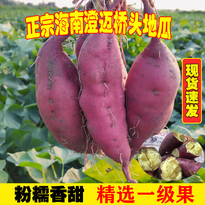 正宗海南澄迈桥头香甜富硒地瓜新鲜板栗署现挖红薯5斤/9斤
