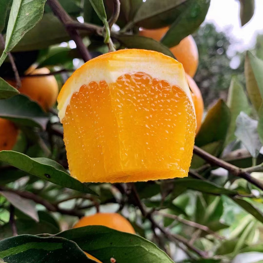 正宗麻阳冰糖橙，九分甜一分酸