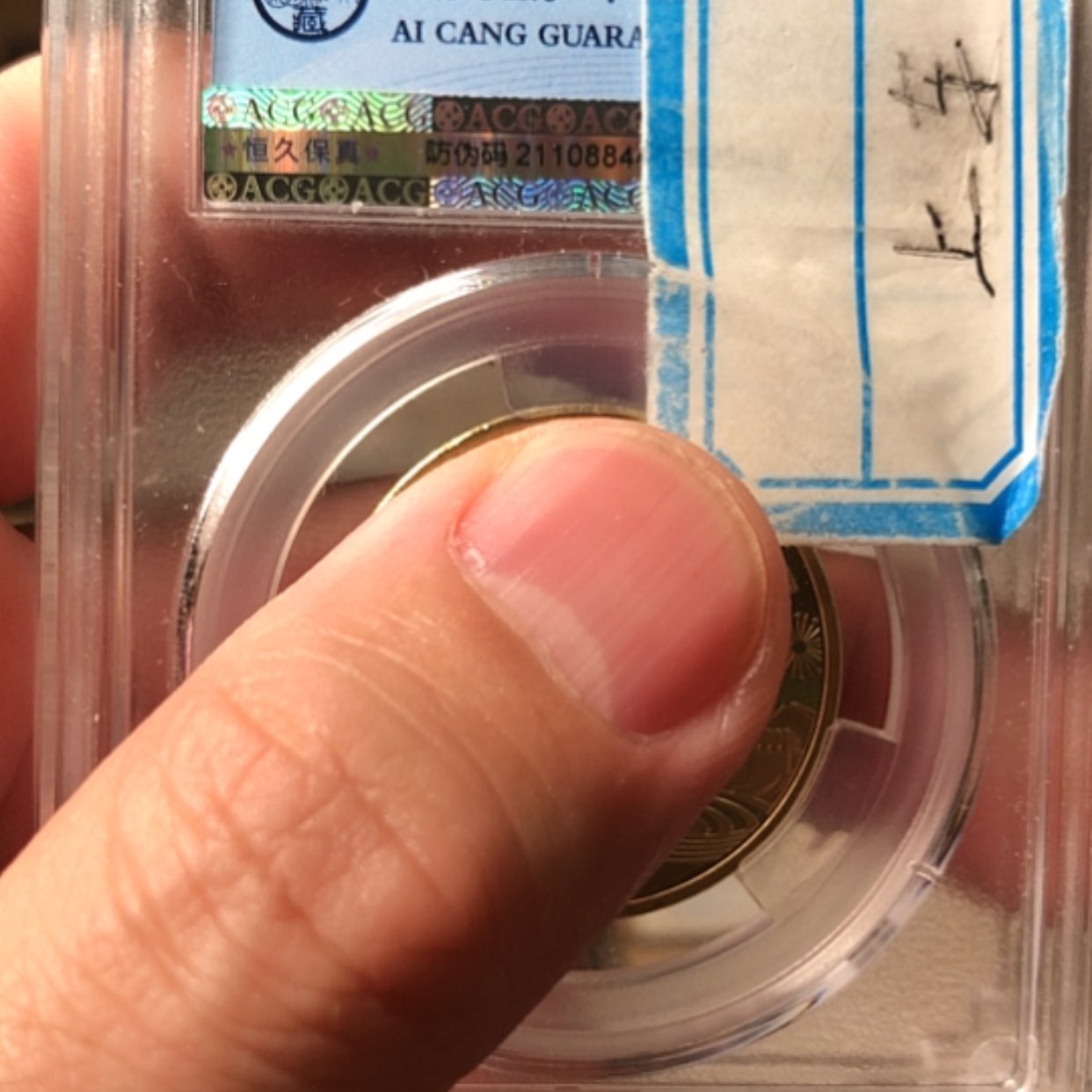 【闪购商品】其他19蓝卷50