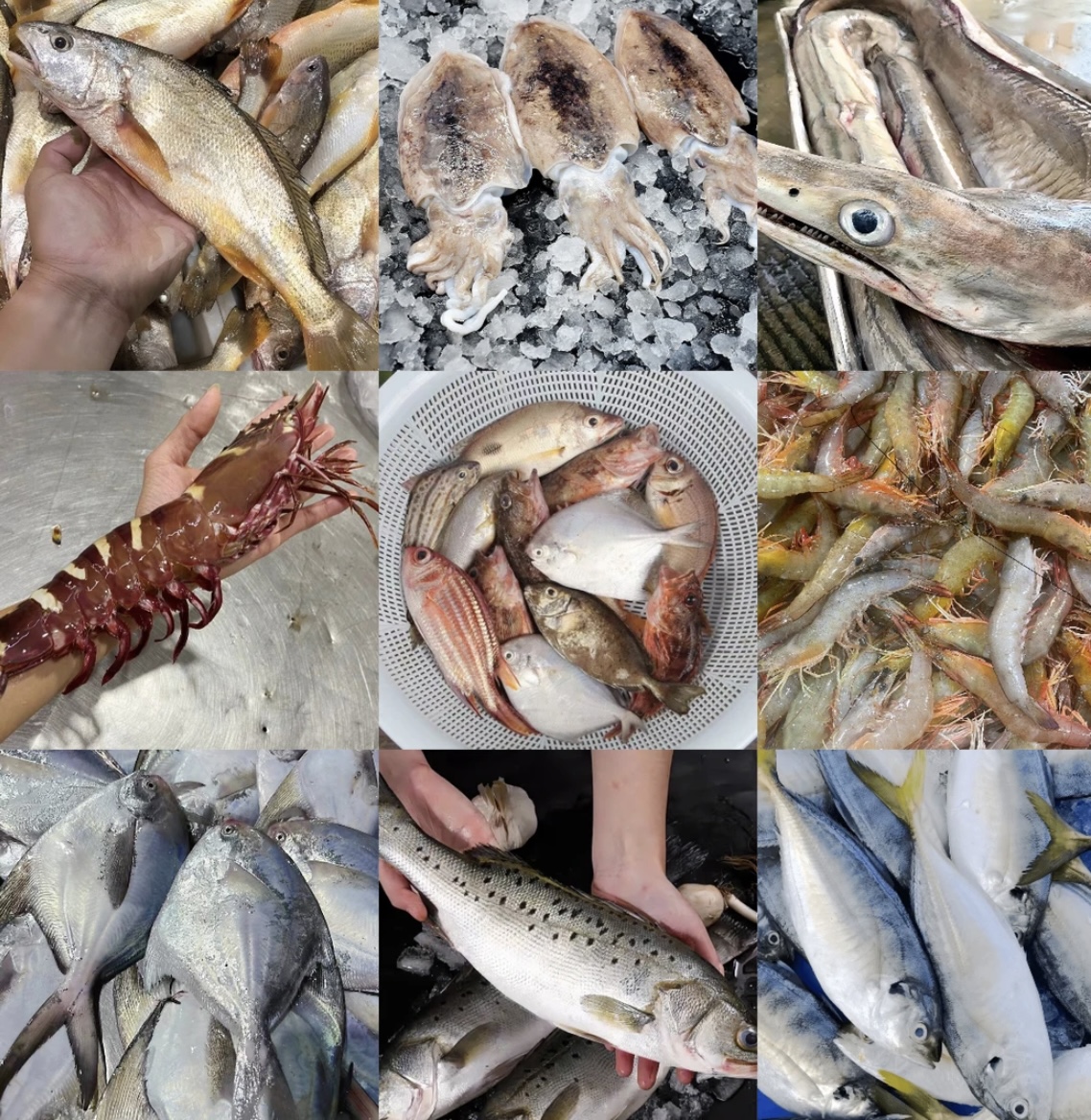 【海鲜套餐】沙卢虾1斤火箭鱿鱼1条泥猛鱼1斤白皮皮虾1斤