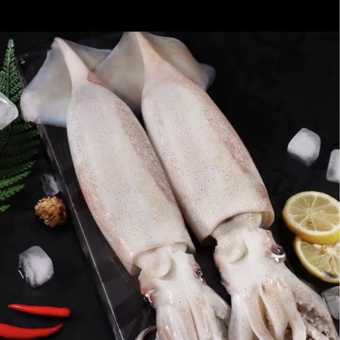 连云港发货新鲜未清理海捕野生大鱿鱼4-6斤 速冻锁鲜