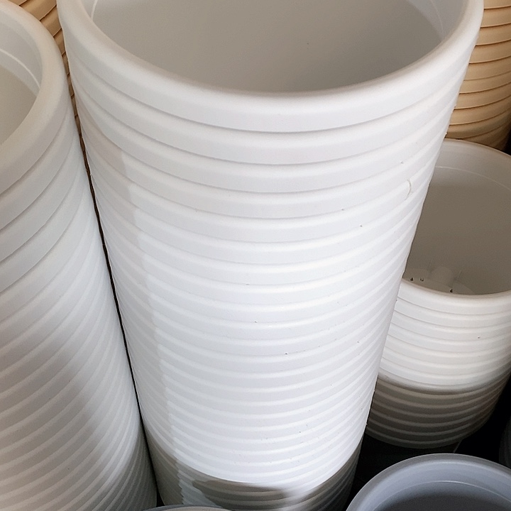 树脂300CM及以上四季5号纯白无托5个