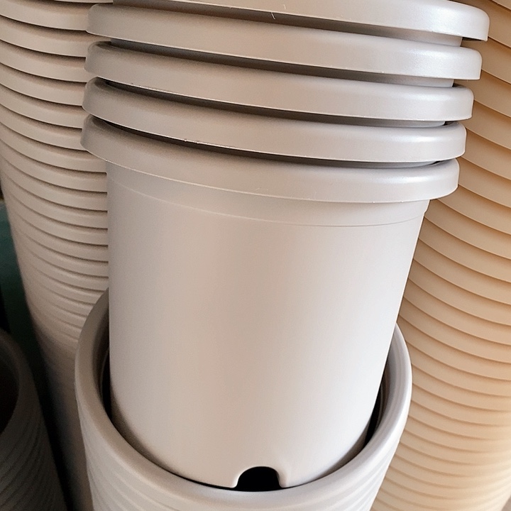 树脂300CM及以上四季4号5个无托灰白