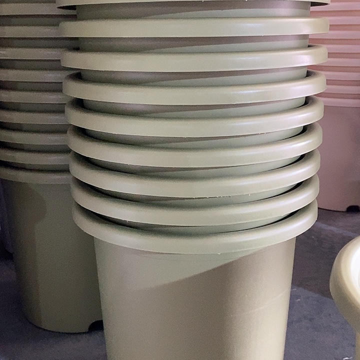 树脂300CM及以上四季8号果绿无托3个