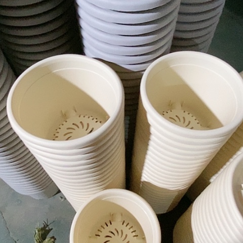 树脂四季3号米黄无托10个