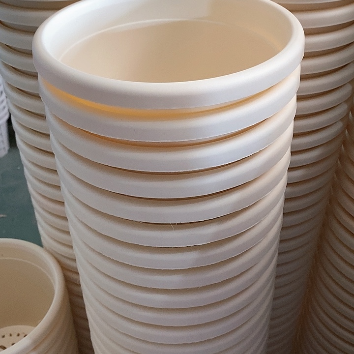 树脂300CM及以上四季3号米黄无托10个