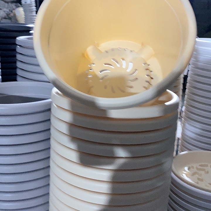 树脂300CM及以上四季4号米黄无托5个