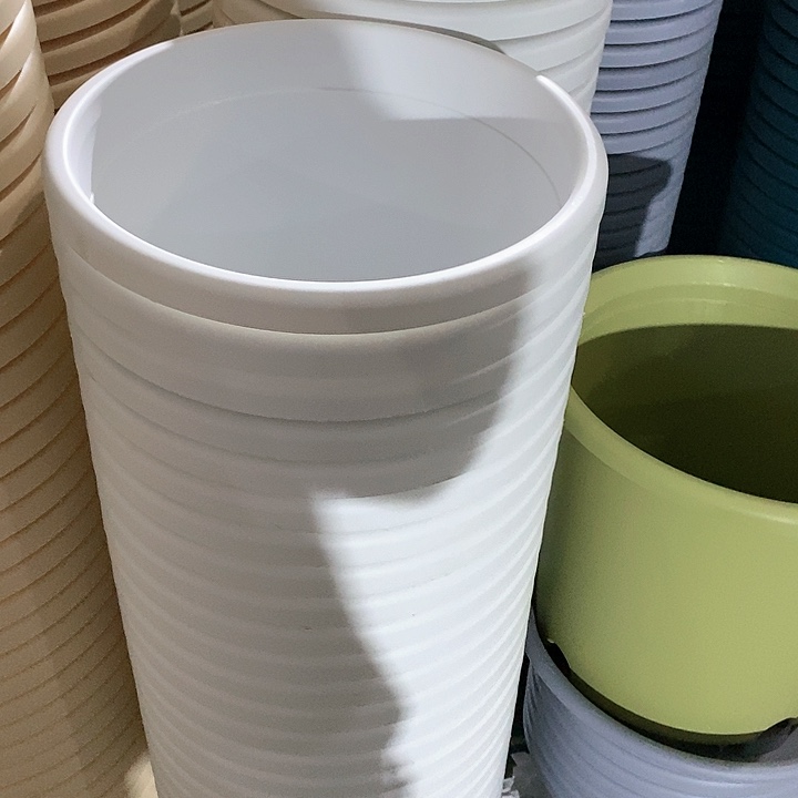 树脂300CM及以上四季5号纯白无托5个