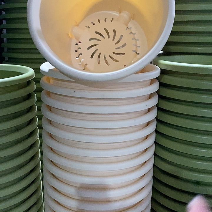 树脂300CM及以上四季6号米黄无托5个