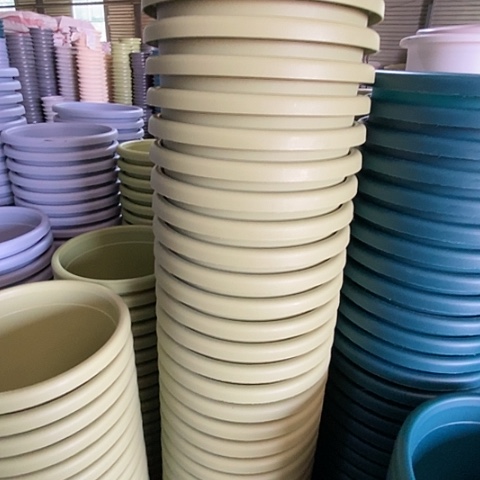 树脂300CM及以上四季3号果绿无托10个