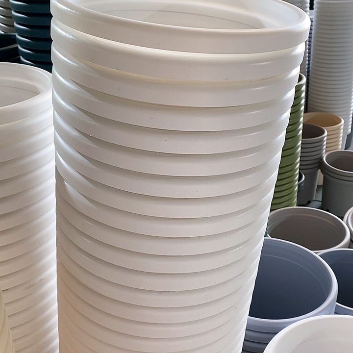 树脂300CM及以上四季5号纯白无托5个