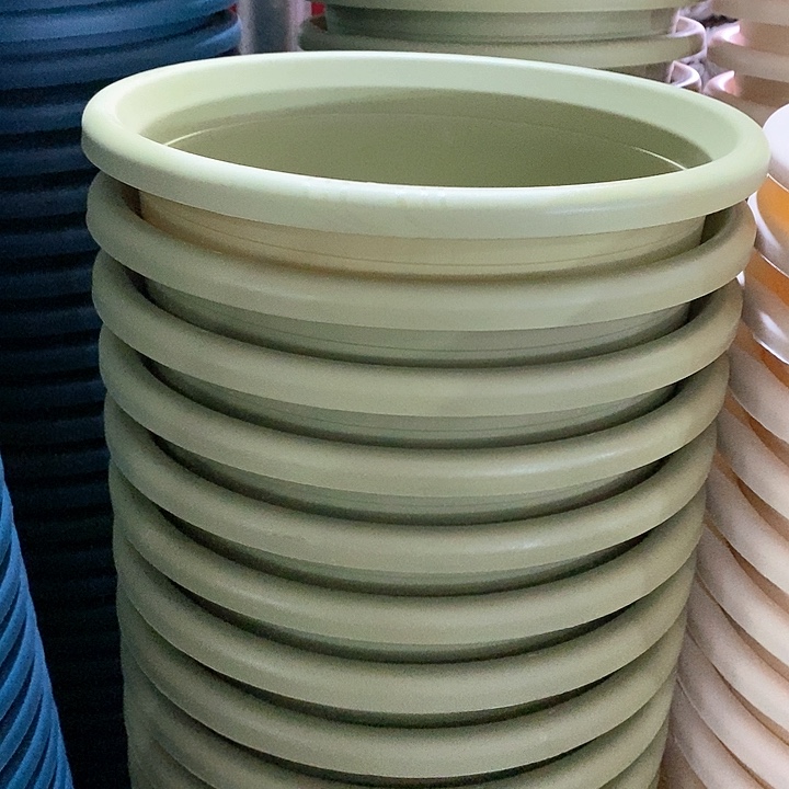 树脂300CM及以上࿌****四季6号果绿无托10个