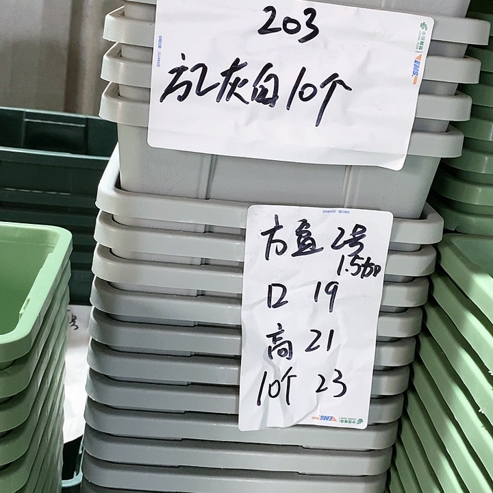 树脂300CM及以上编号203