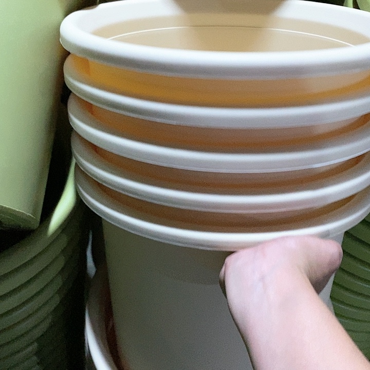 树脂300CM及以上四季6号5个无托米黄