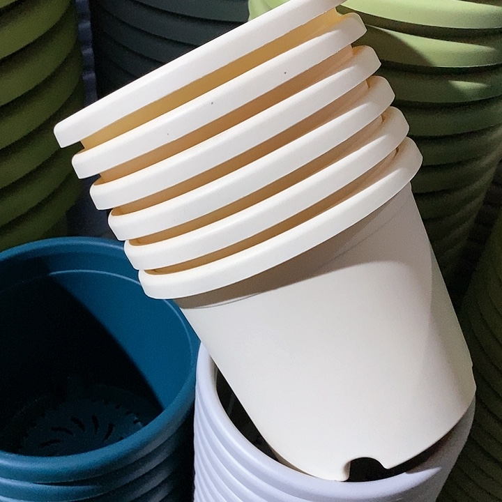 树脂300CM及以上四季2号6个无托米黄