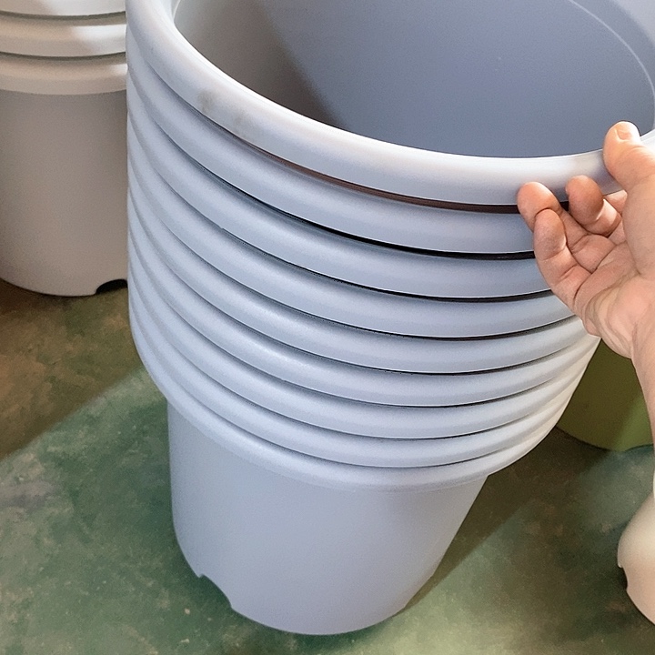 树脂300CM及以上四季6号5个无托蓝