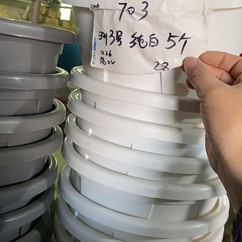 树脂300CM及以上编号703