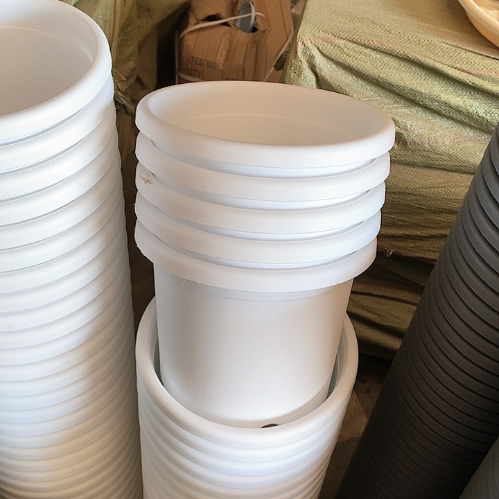 树脂300CM及以上四季3号15个无托白