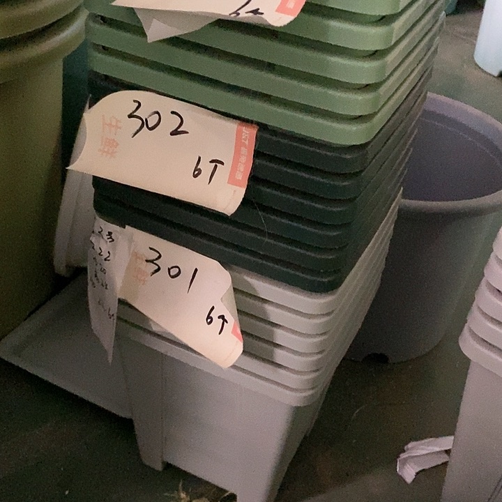 树脂300CM及以上编号303