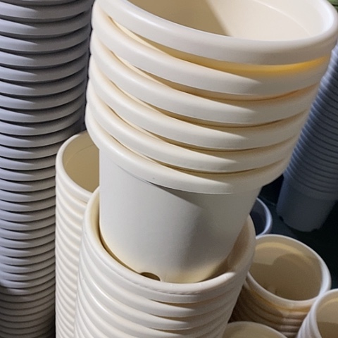 树脂300CM及以上四季3号6个无托米黄