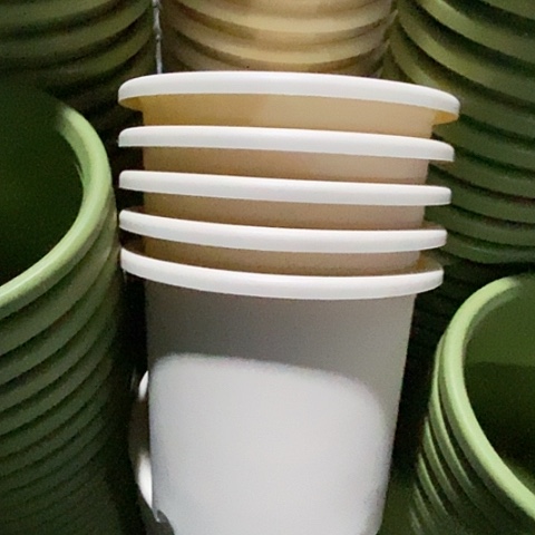 树脂四季6号5个无托米黄