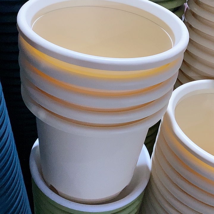 树脂300CM及以上四季6号5个无托米黄