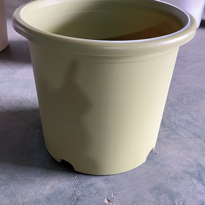 树脂300CM及以上四季9号果绿无托2个