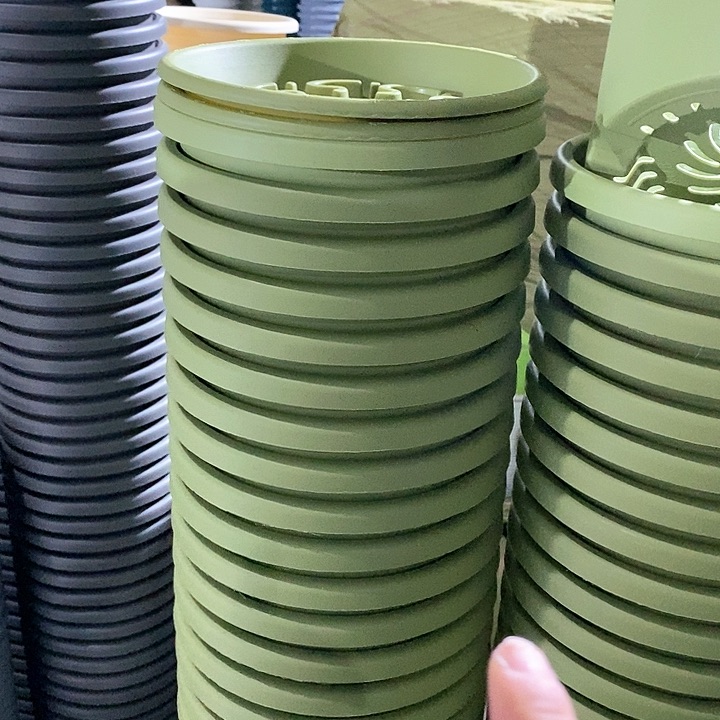 树脂300CM及以上四季3号果绿无托10个