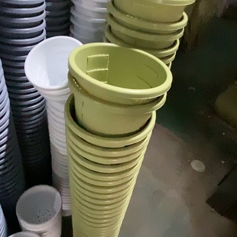 树脂300CM及以上测1号10个无托果绿