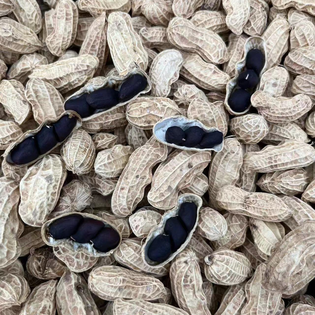 云南黑花生 2025年新货 干花生