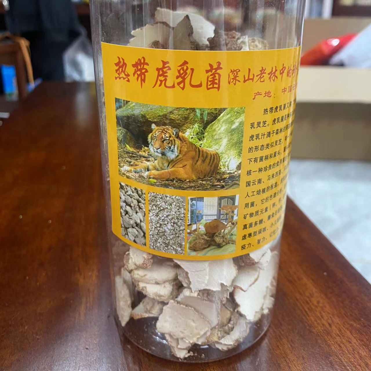 正宗虎乳菌【基哥甄选鱼胶行】
