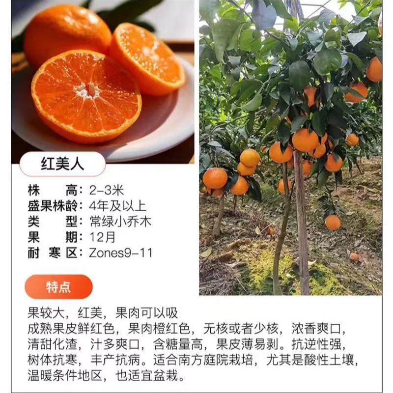 一物一拍成都包邮发货