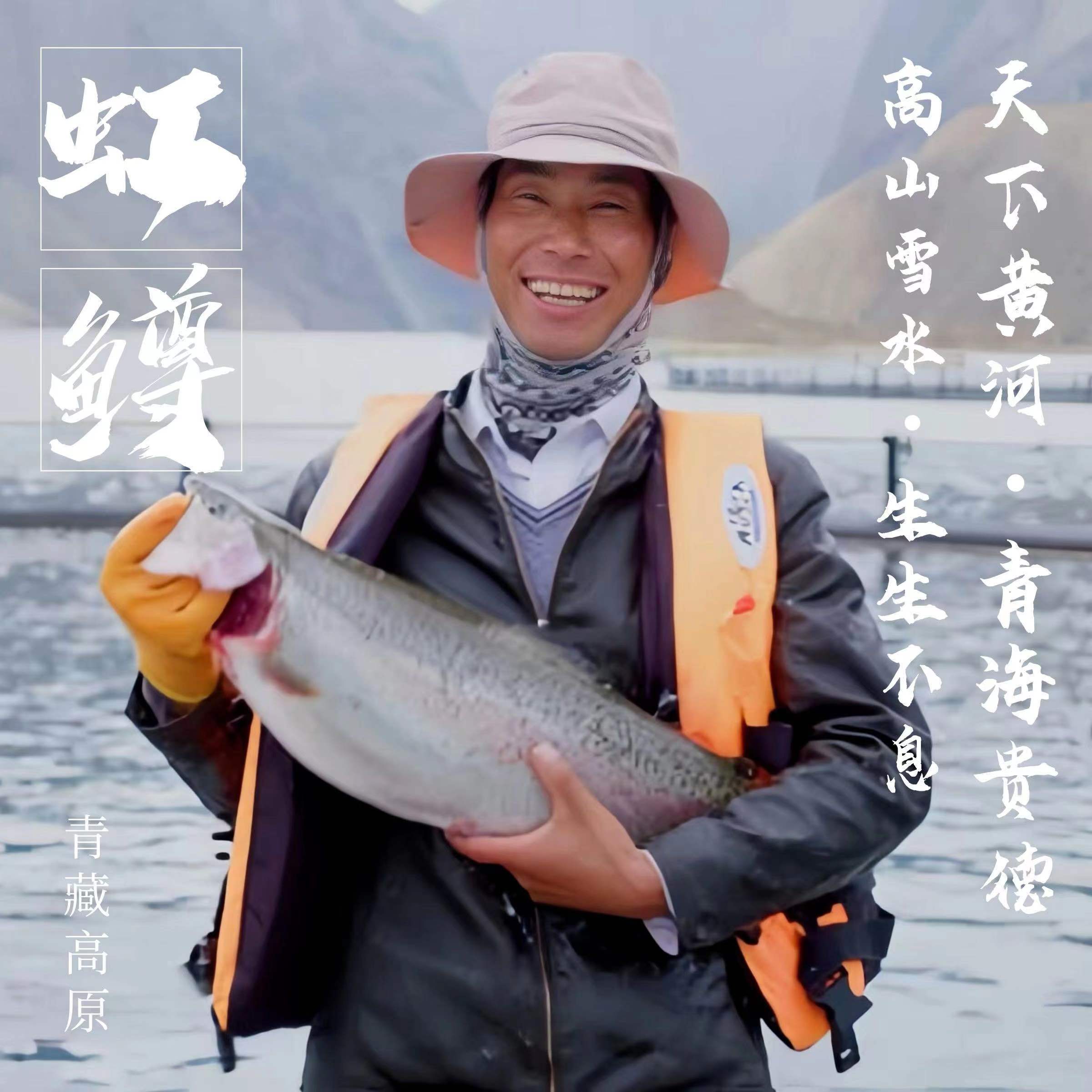 虹鳟三文鱼超级无敌优惠价