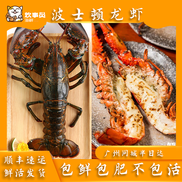 两只活发波士顿龙虾 400g-500g/只新风港发货 非同城跑腿不包活