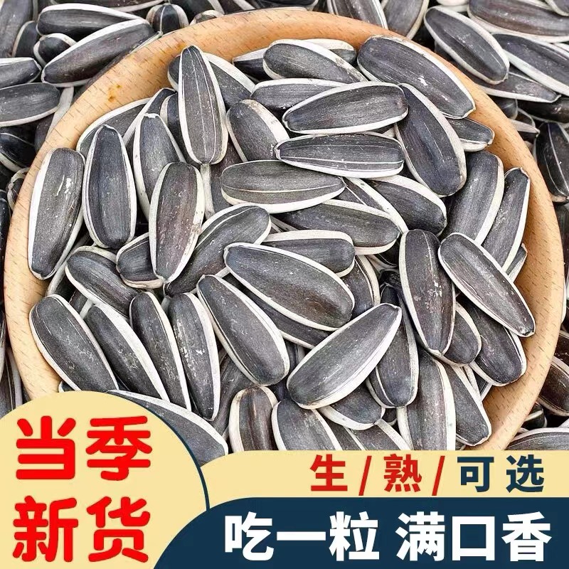 内蒙古新货坚果原味新鲜葵花籽内蒙团购厂家直销休大颗粒正宗批发