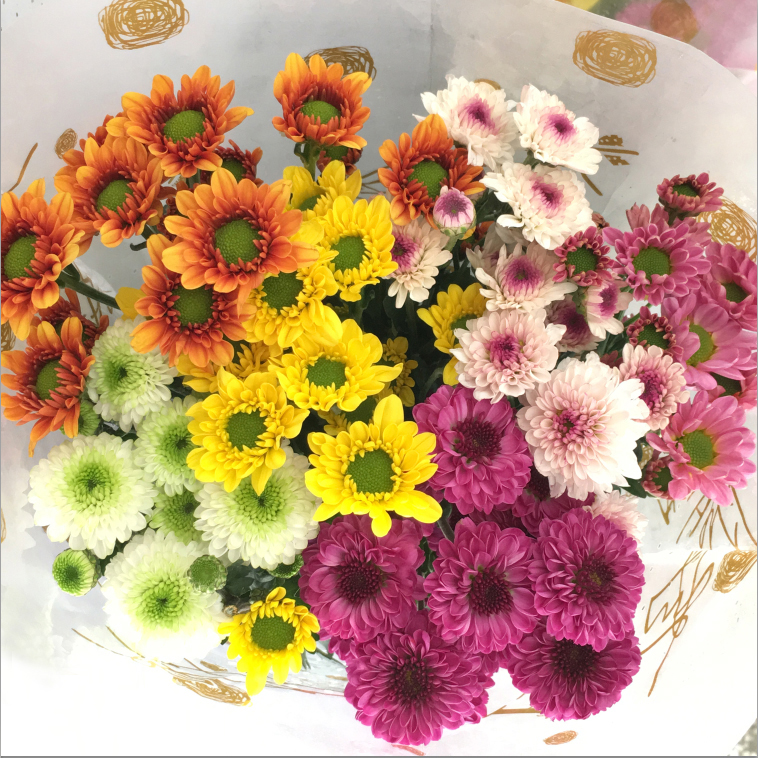 【小雏菊】花束云南昆明基地直发速递同城水养云南直发鲜花