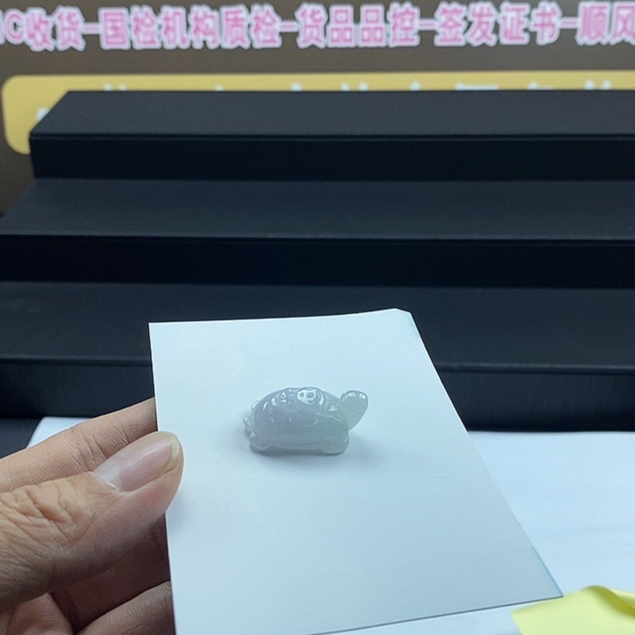 【闪购商品】翡翠颈饰未镶嵌星**越