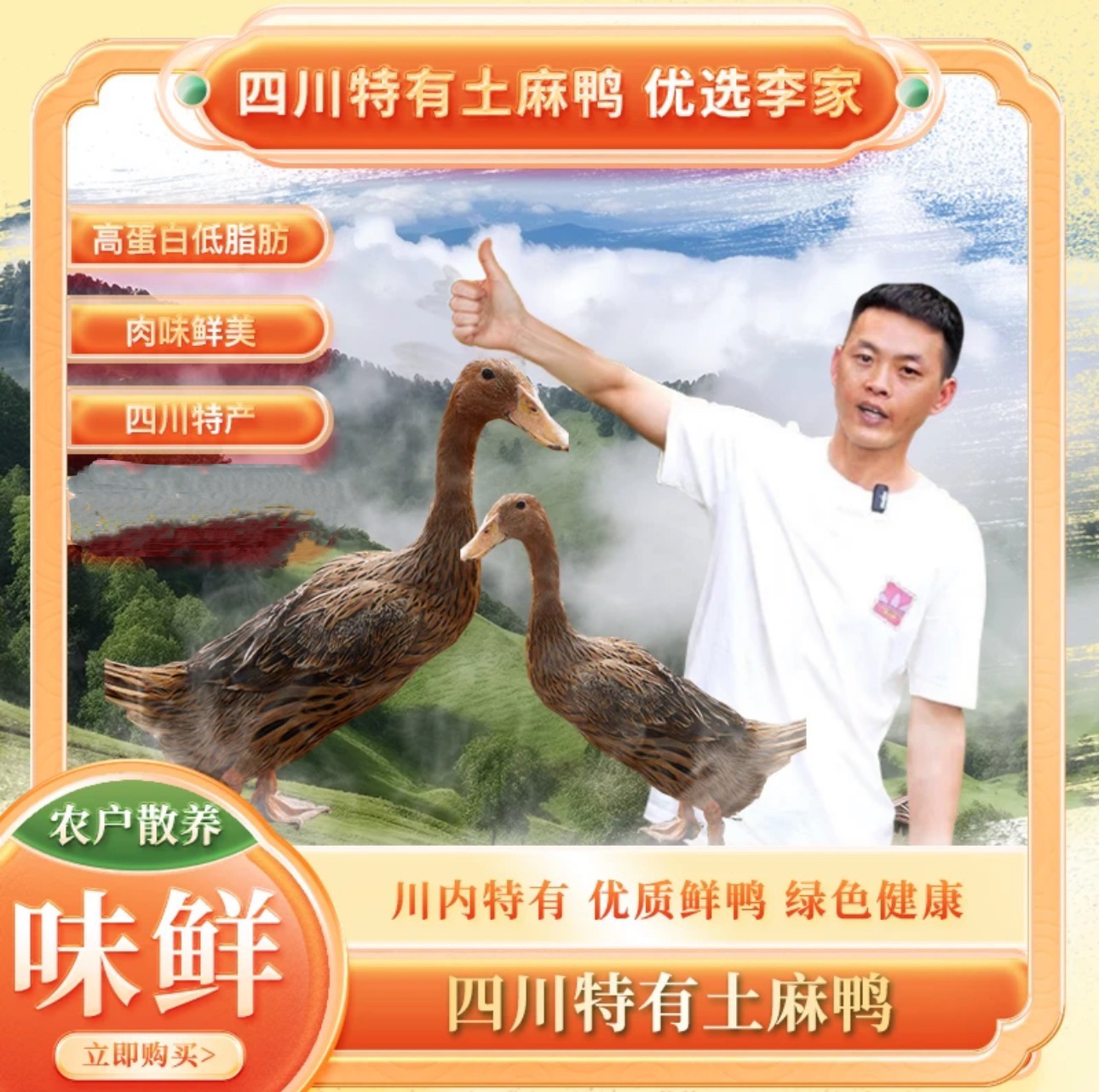 【顺丰鲜货】小麻鸭，建议红烧，《生鲜产品售出不坏单包赔》