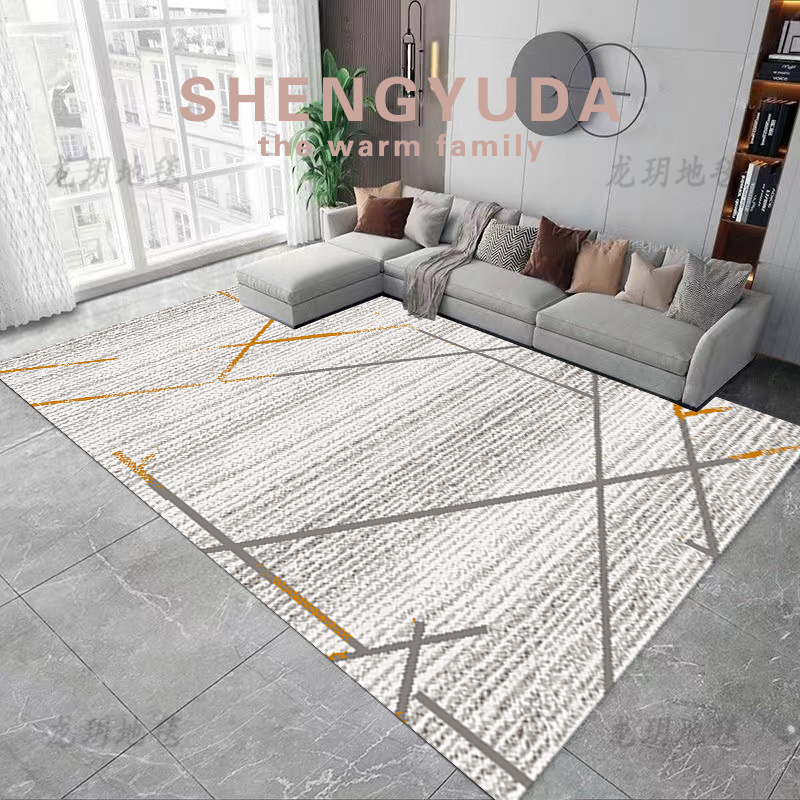 桦鹏轻奢客厅地毯床边毯玄关门口地垫家用大面积可水洗耐脏入户门