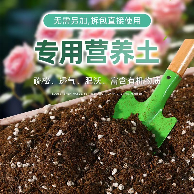 营养土 （熙子多肉）一袋5-6斤装   一单包邮多肉植物适用