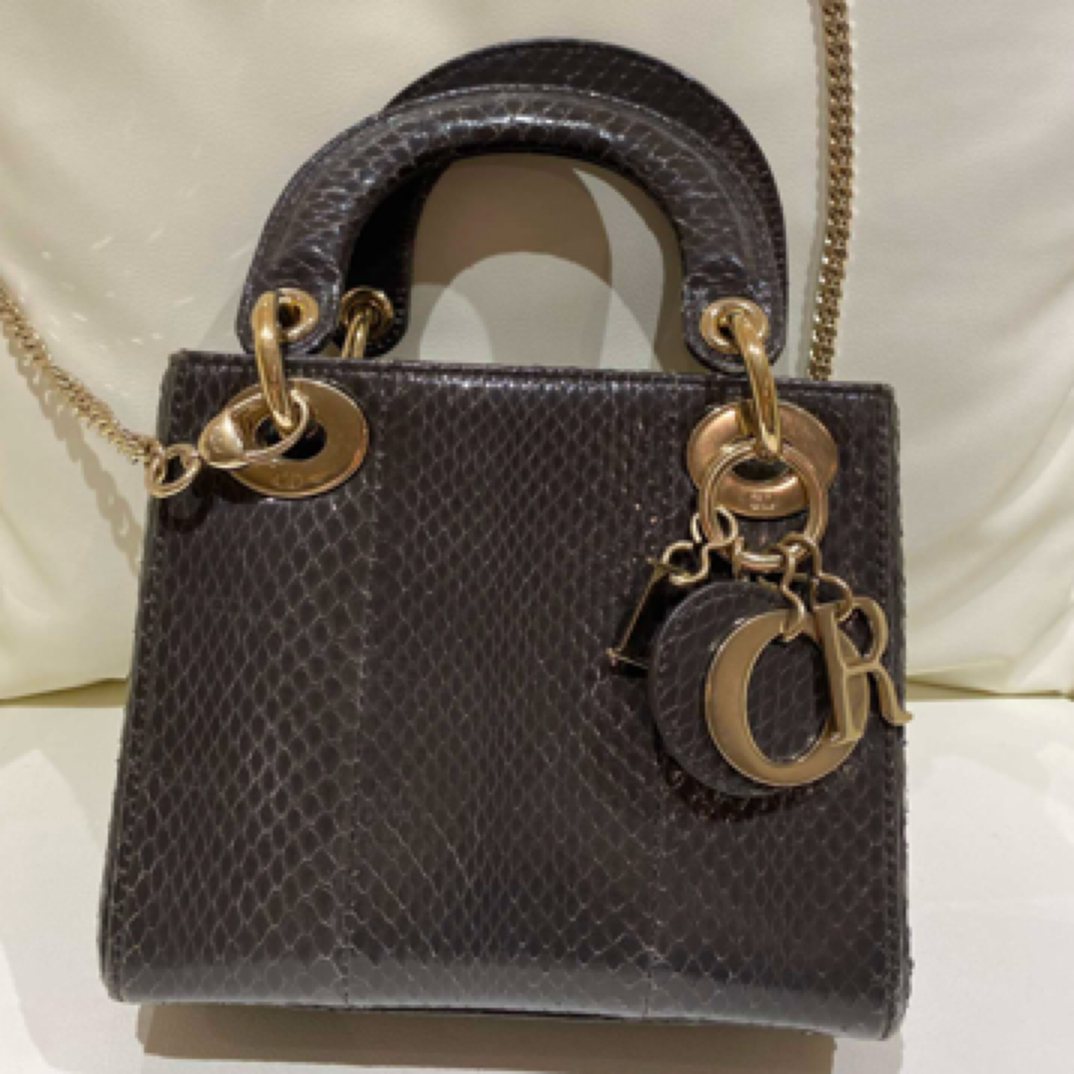 95新 DIOR/迪奥 迪奥dior 戴妃 蛇皮 金扣/JW1084