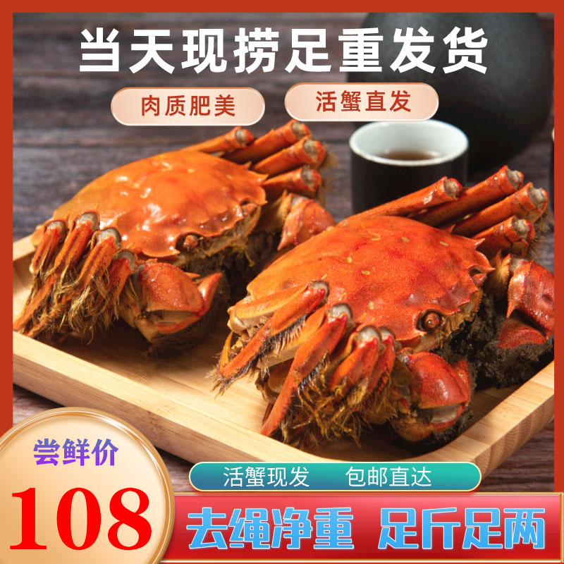 【精品超规格发货】鲜活蟹大闸蟹螃蟹4.0两公3.0母 4只装 送礼 团购