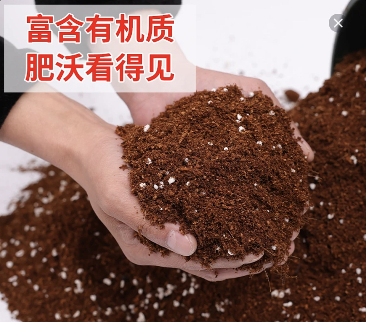 茶花山茶花专用土绿植营养有机家庭盆栽种植酸性土疏松山茶花盆栽