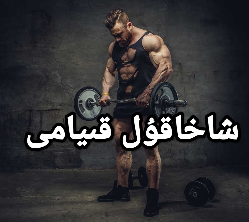  شاخاقۇل قىيامى 墙纸玉竹酱像似shahakul kiyami