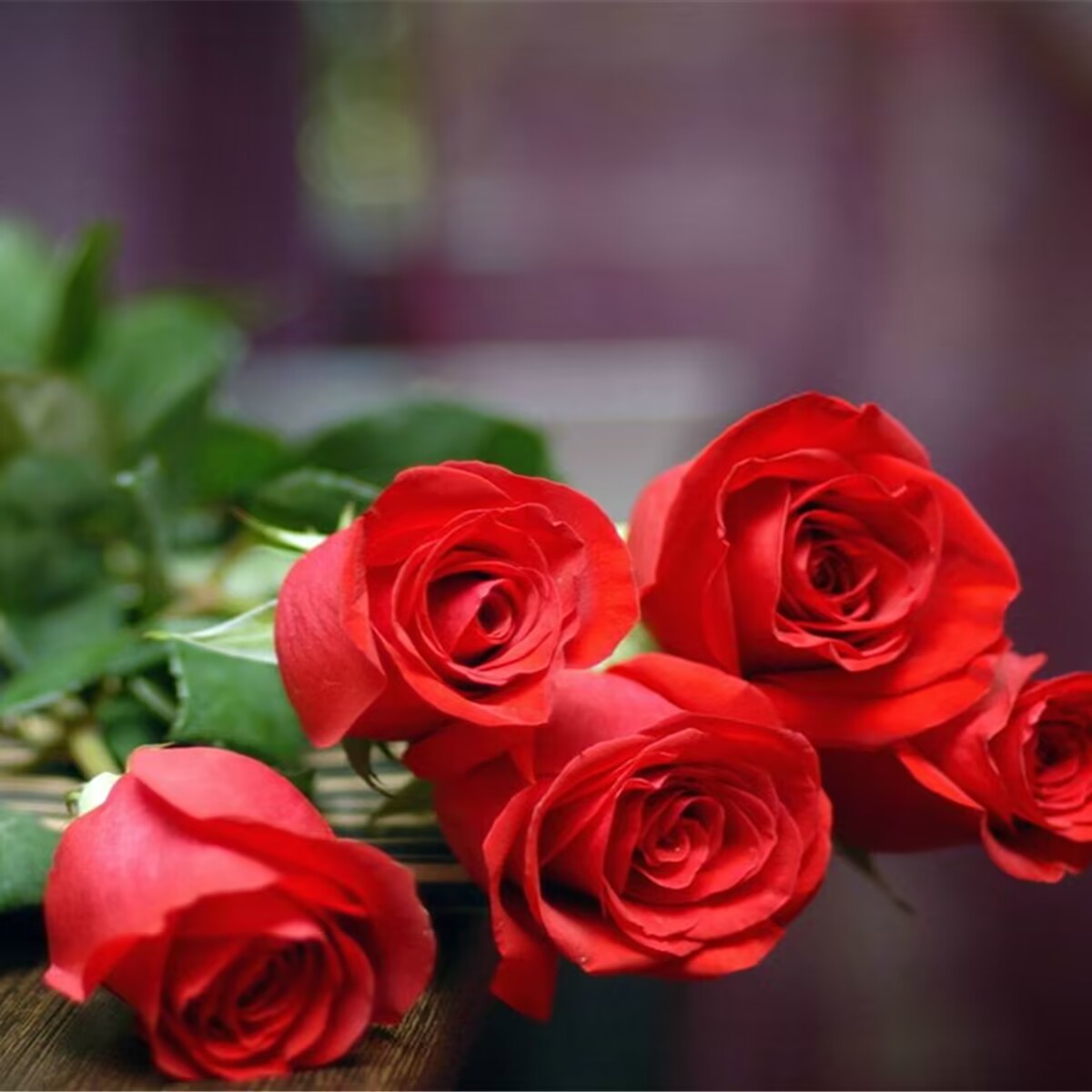 玫瑰玫瑰全场包邮