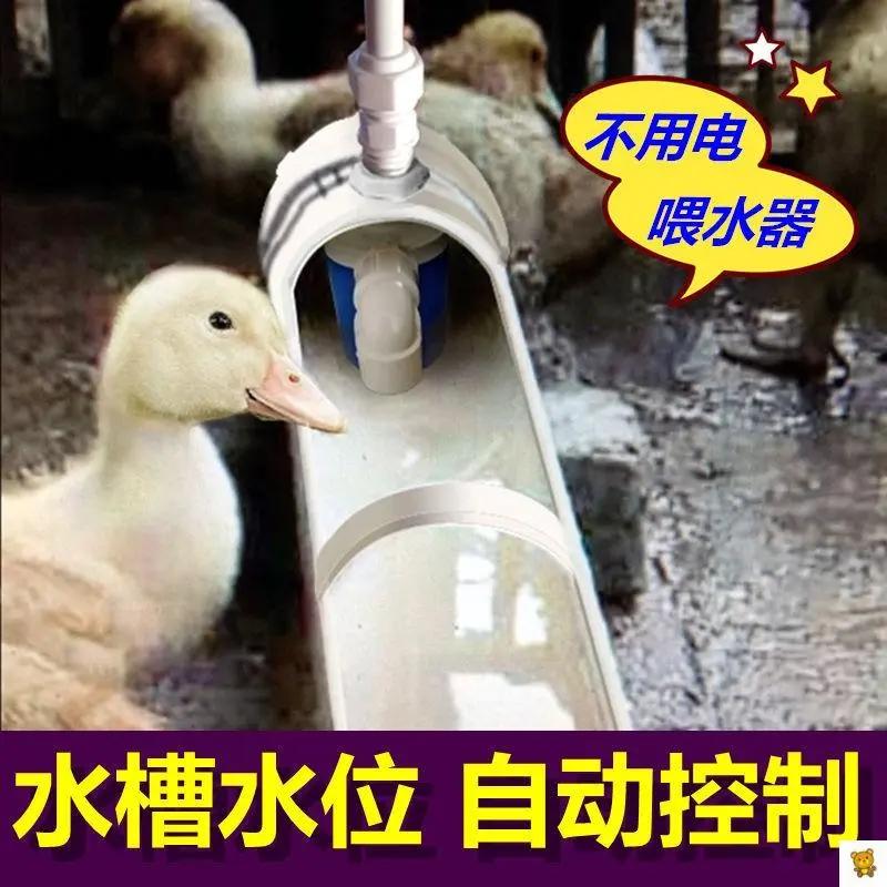 鸡鸭鹅自动喂水器家禽鸭子喝水饮水槽牛羊养殖浮球饮水控制节水器
