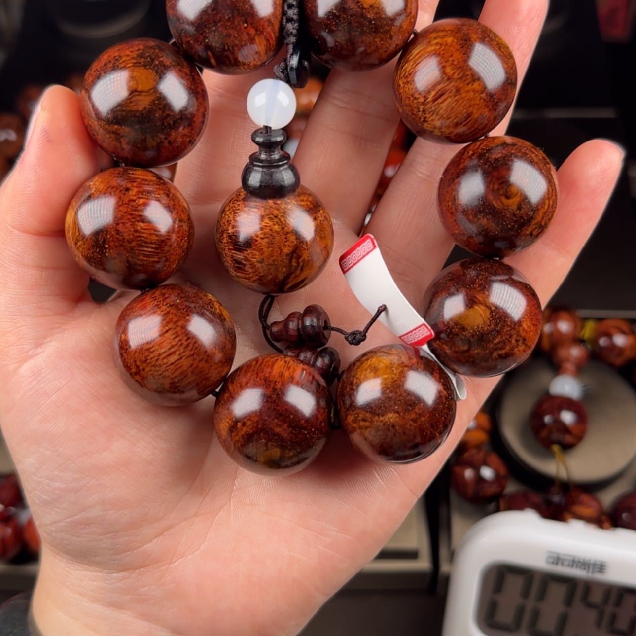 【闪购商品】木头视*盼40719