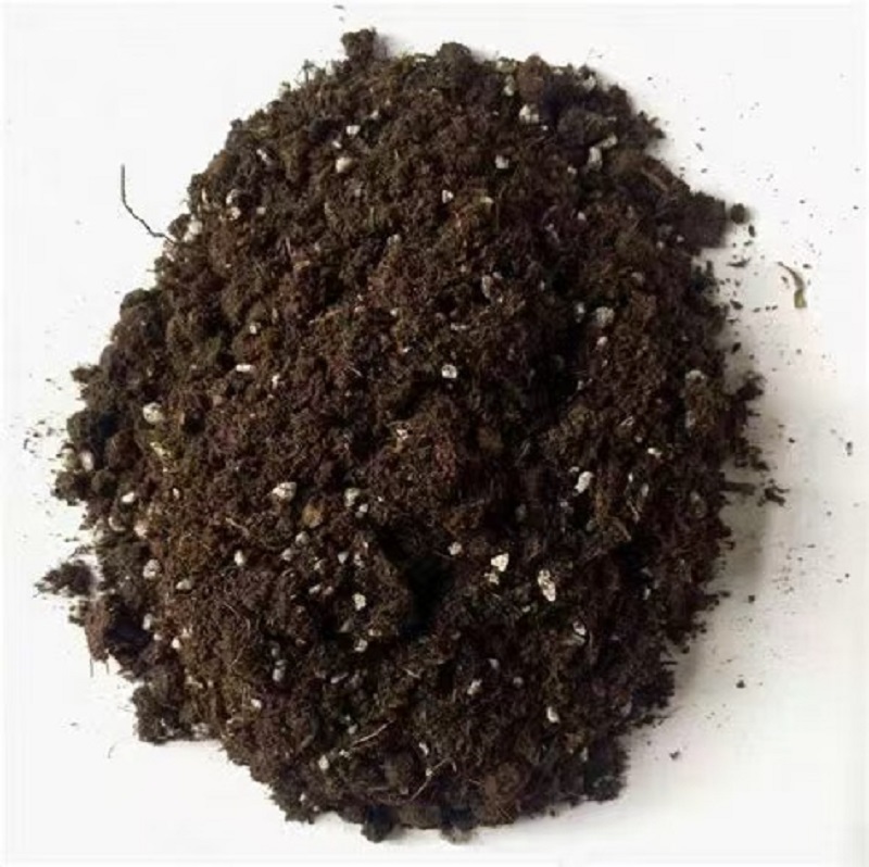 营养土30%颗粒土    沥水  透气     铺面 垫底     多肉绿植必备