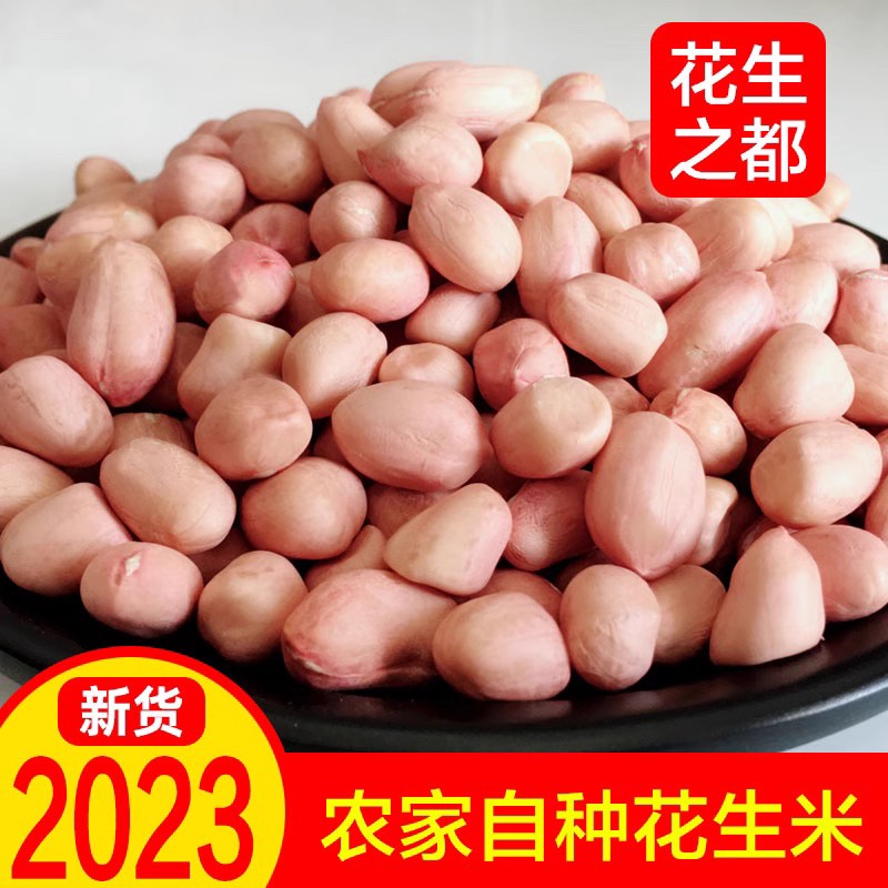 2023年新花生米5斤农家自种散装新正阳生花生1斤装干花生花生仁