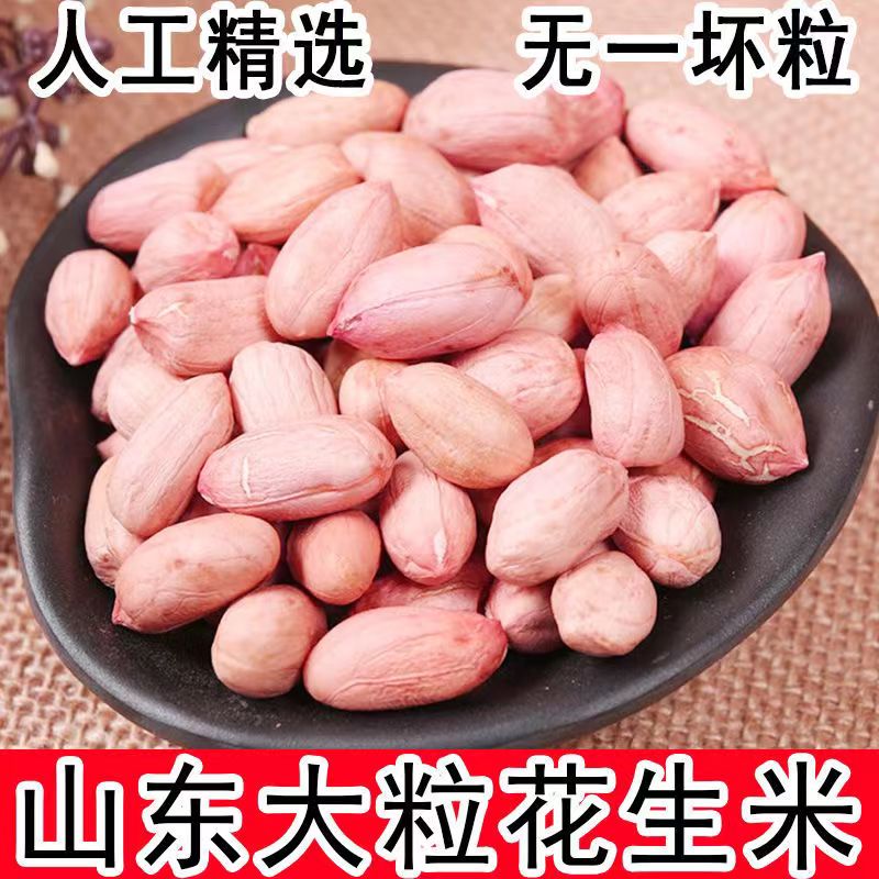 2023新货花生米精选大粒饱满花生米大颗粒花生米100克-5斤